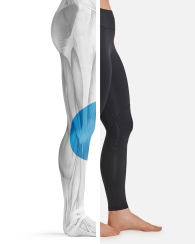 Women's Pro-Grade Legging with Knee Support