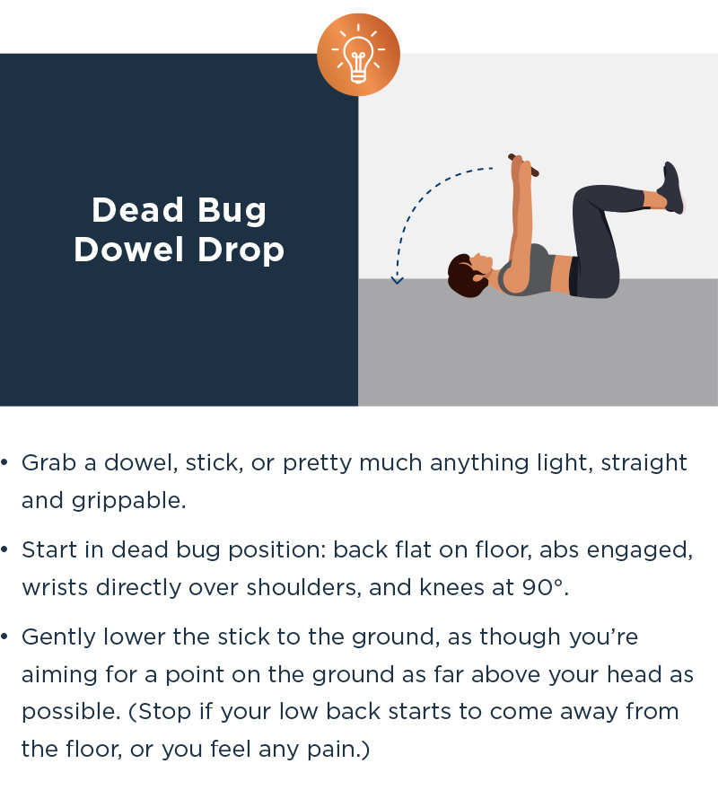 DEAD BUG DOWEL DROP