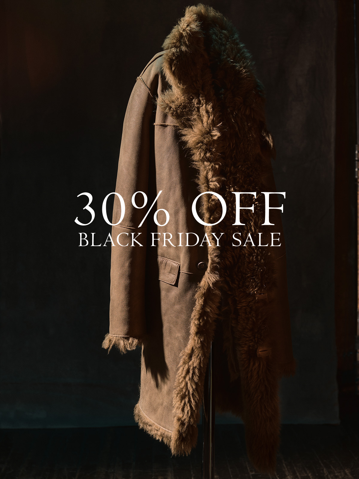 Black Friday Sale