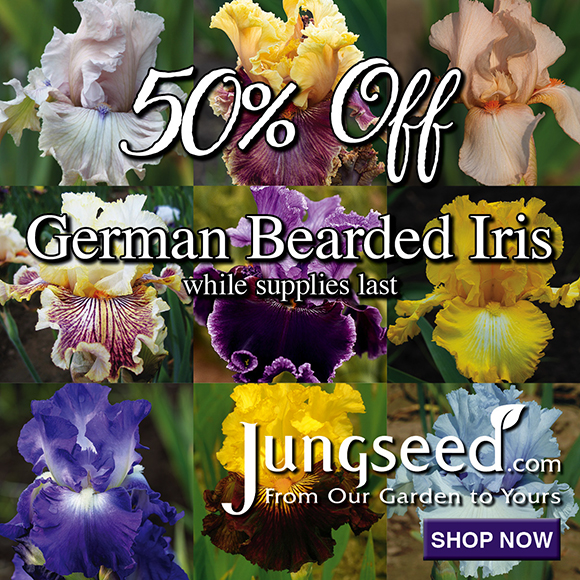 50% Off German Bearded Iris While Supplies Last