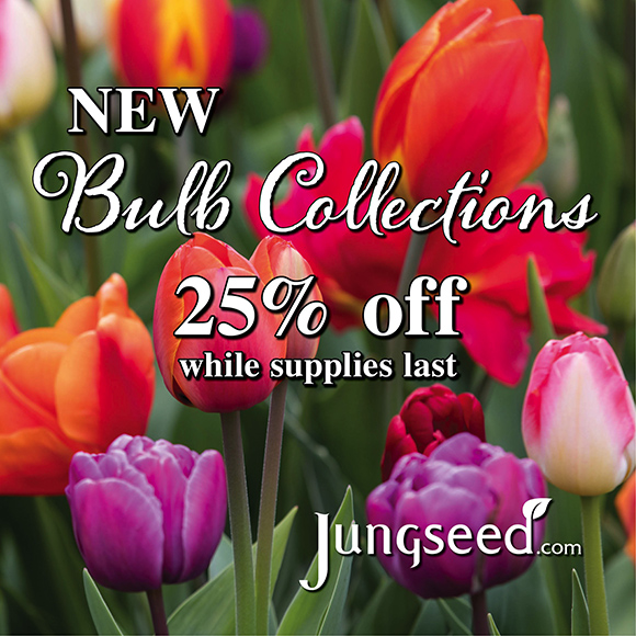 Jung Seed: New Bulb Collections