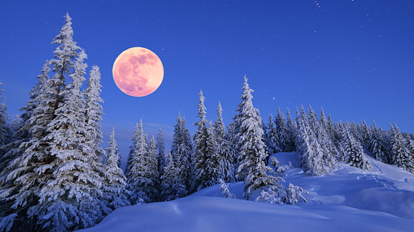 Full Moon over a snowy forest