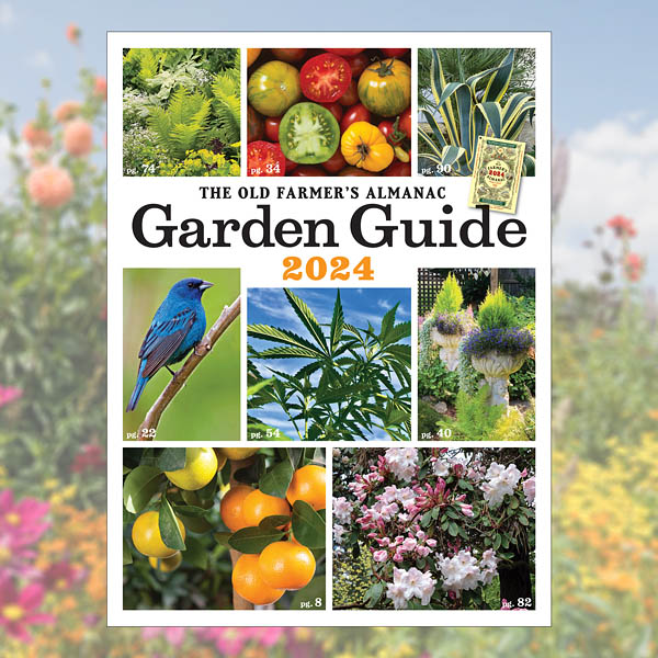 The cover of the 2024 Garden Guide