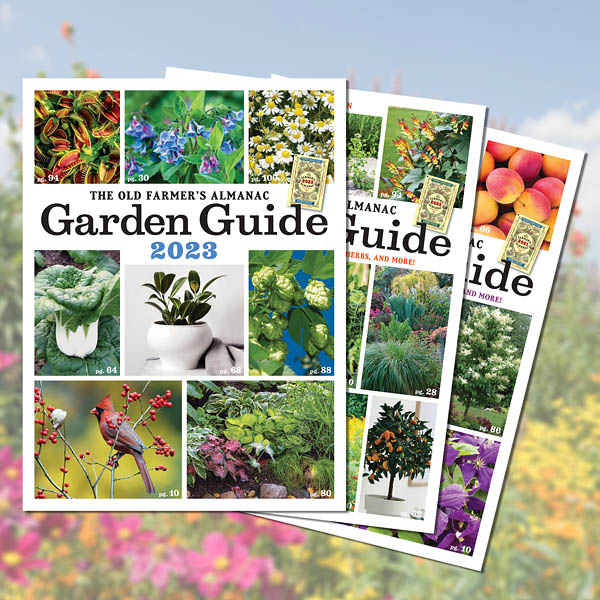 3 Covers of the Garden Guide against a green background