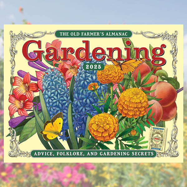 Gardening Calendar February month page