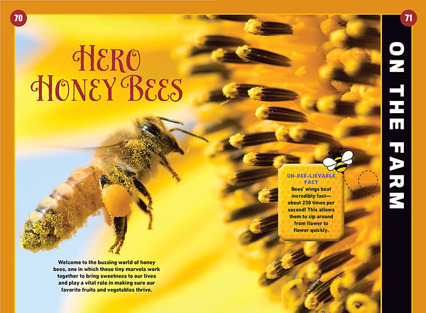 Hero Honey Bees, an article with a close up photo of a honeybee in the Almanac for Kids