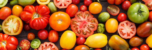 An arrangement of various tomatoes, some cut in half