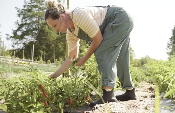 gardener