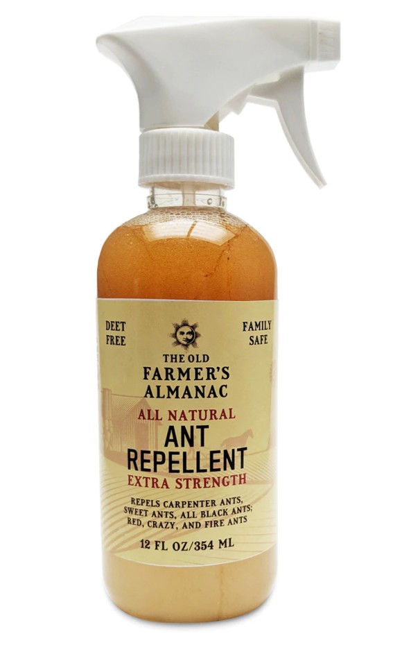 All-Natural Ant Repellent