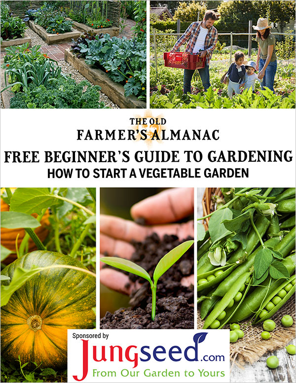 The Old Farmer's Almanac Gardening for Everyone: How to Start a Vegetable Garden - Free Beginner Guide to Gardening from The Old Farmer's Almanac