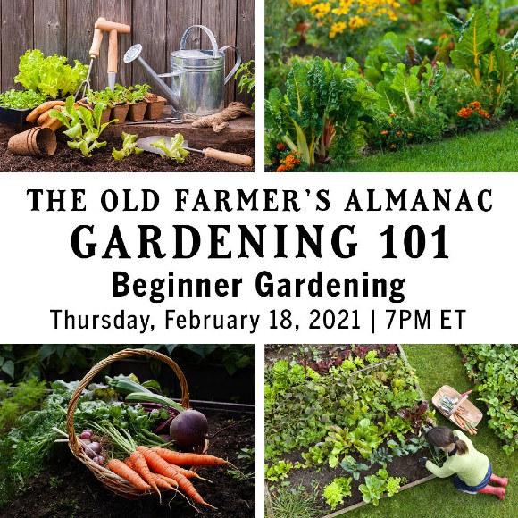 The Old Farmer's Almanac Gardening 101: Beginner Gardening. Thursday, February 18, 2021 | 7PM ET