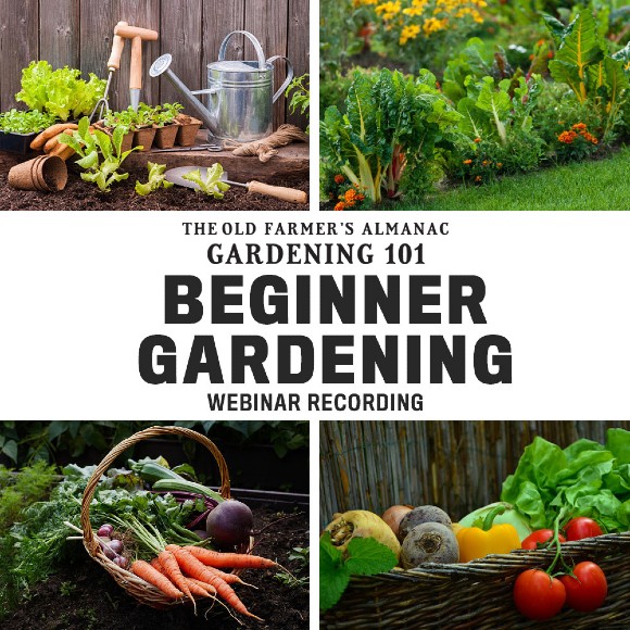 The Old Farmer's Almanac Gardening 101: Beginner Gardening Webinar Recording