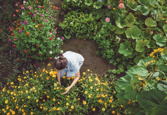 Woman gardening