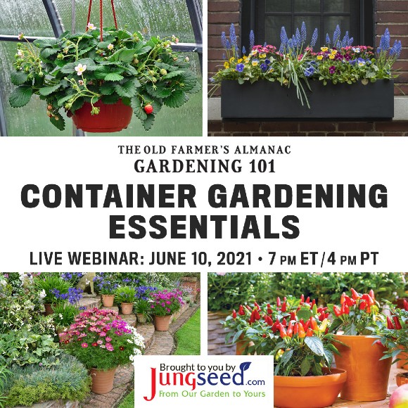 The Old Farmer's Almanac Gardening 101 Container Gardening Essentials Live Webinar: June 10, 2021 7 PM ET / 4 PM PT