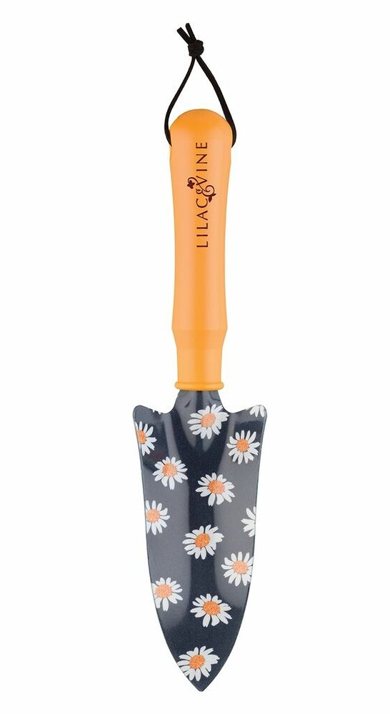 Daisy Transplanter