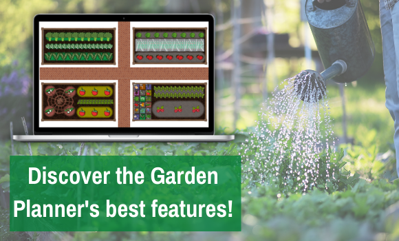 Discover the Garden Planner's best features!