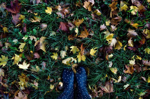 Autumn leaves on a rainy day with blue and white rainboots