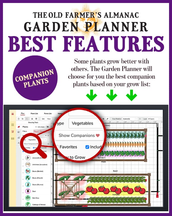 The Old Farmer's Almanac Garden Planner Best Features: Companion Plants. Some plants grow better with others. The Garden Planner will choose for you the best companion plans based your grow list.