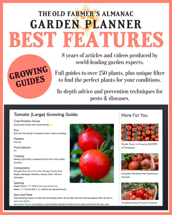 The Old Farmer's Almanac Garden Planner Best Features: Growing Guides. 8 years of articles and videos produced by world-leading garden experts. Full guides to over 250 plants, plus unique filter to find the perfect plants for your conditions. In-depth advice and prevention techniques for pests & diseases.