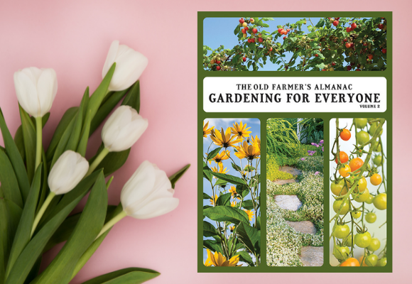 2022 Gardening Calendar