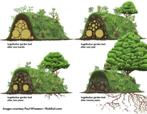 Hugelkultur garden beds