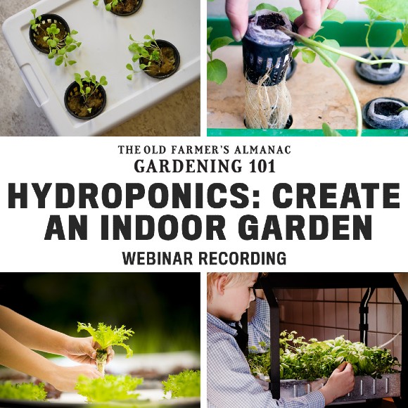 The Old Farmer's Almanac Gardening 101: Hydroponics: Create an Indoor Garden Webinar Recording