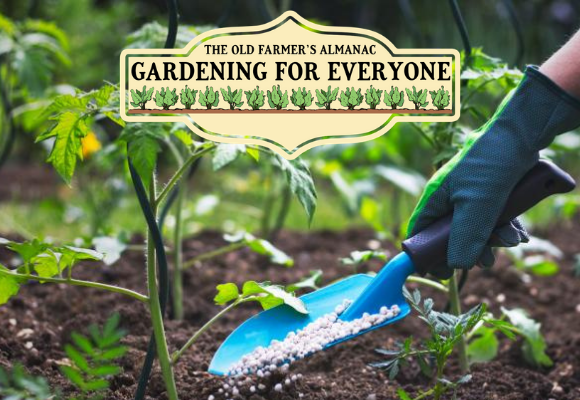 The Old Farmer's Almanac Gardening for Everyone