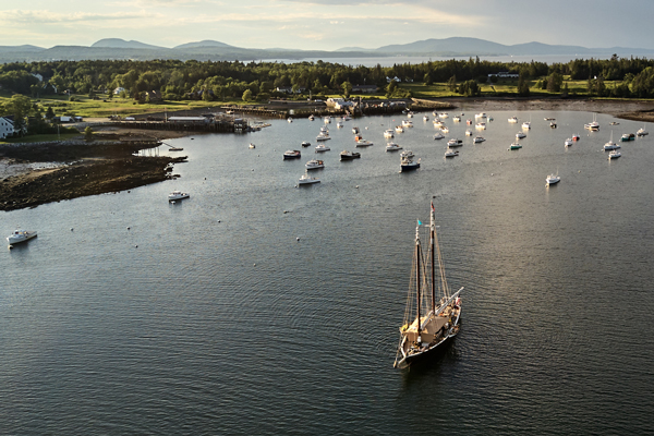 Aerial photo of boats in a harbor with mountains in the distance