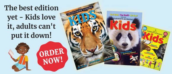 The best edition yet - Kids love it, adults can't put it down! ORDER NOW!