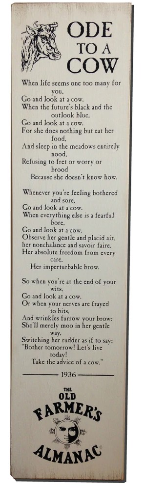 Ode to a Cow: When life seems one too many for you, Go and look at a cow. When the future's black and the outlook blue, Go and look at a cow. For she does nothing but eat her food, And sleep in the meadows entirely nood, Refusing to fret or worry or brood Because she doesn't know how. Whenever you're feeling bothered and sore, Go and look at a cow. When everything else is a fearful bore, Go and look at a cow. Observe   her gentle and placid air, her nonchalance and savoir faire, Her absolute freedom from every care, Her imperturable brow. So when you're at the end of your wits, Go and look at a cow. Or when your nerves are frayed to bits, And wrinkles furrow your brow: She'll merely moo in her gentle way, Switching her rudder as if to say: "Bother tomorrow! Let's live today! Take the advice of a cow." - 1936 - The Old Farmer's Almanac