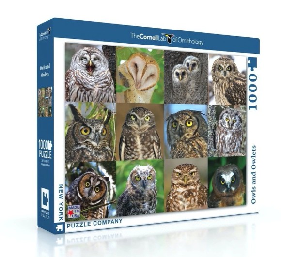 Owls Puzzle