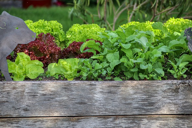 Raised garden bed