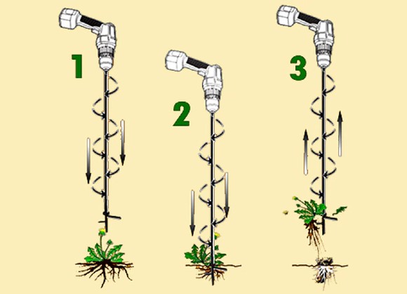 Steps to remove a weed