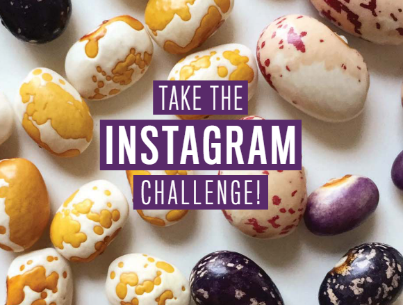 Take the Instagram Challenge!