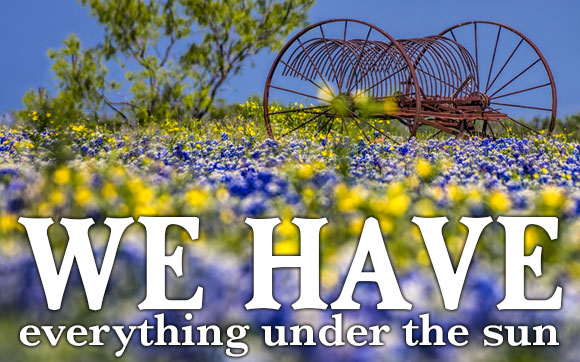 We have everything under the sun