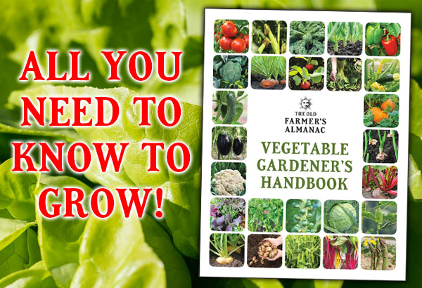 All you need to know to grow! Vegetable Gardener's Handbook