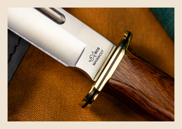 Shop December Buck of the Month