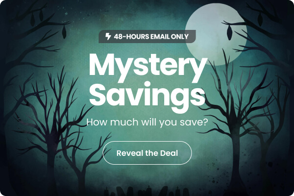 48-Hours Only - Email Only Mystery Offer