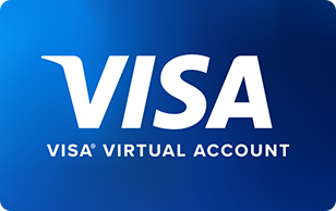 Visa Gift Card