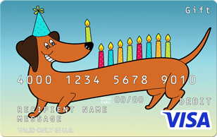 Visa Gift Card