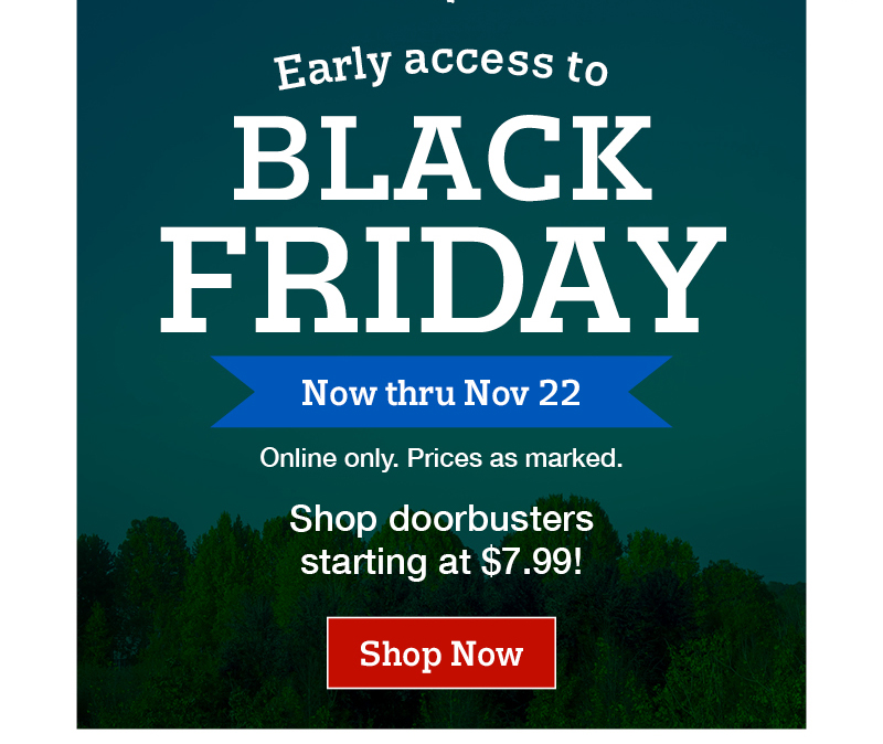 You have been granted... early access to black friday. Now thru nov 22. Online only. Prices as marked. Shop doorbusters starting at $7.99! Shop now