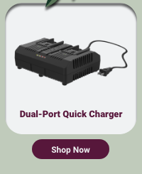 20V POWER SHARE 1-HOUR DUAL PORT QUICK CHARGER (WA3884)