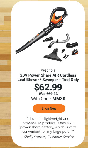 20V POWER SHARE AIR CORDLESS LEAF BLOWER / SWEEPER - TOOL ONLY