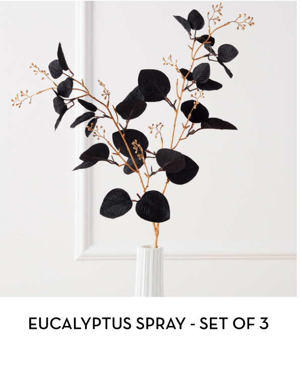 Eucalyptus Spray - Set of 3