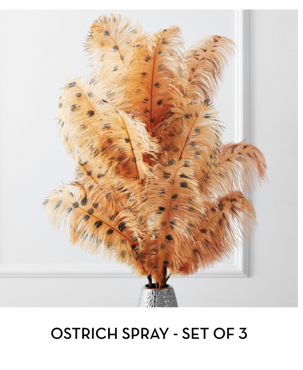 Ostrich Spray - Set of 3