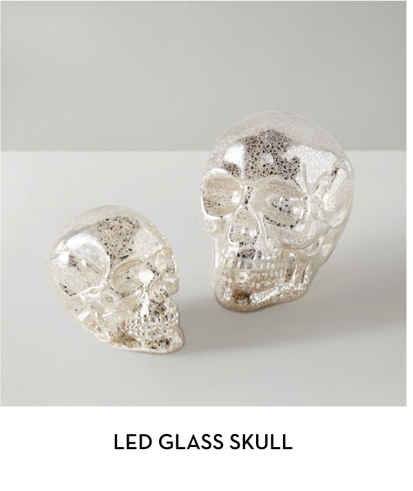 LED Glass Skull