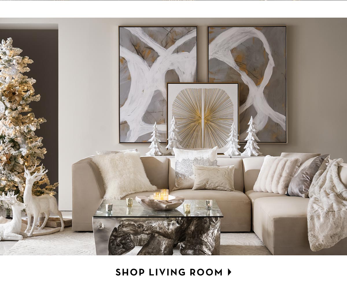 Shop Living Room