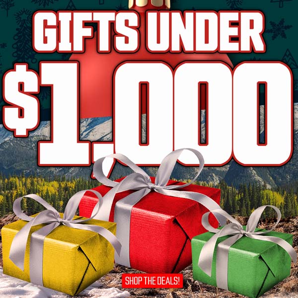 Gifts Under $1000