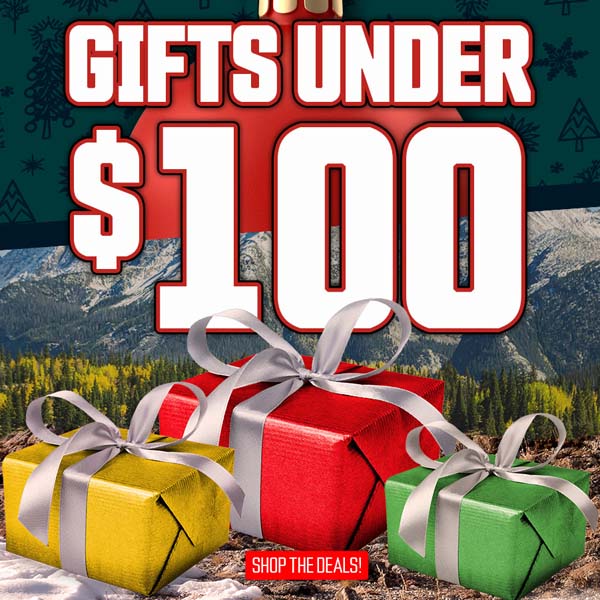 Gifts Under $100