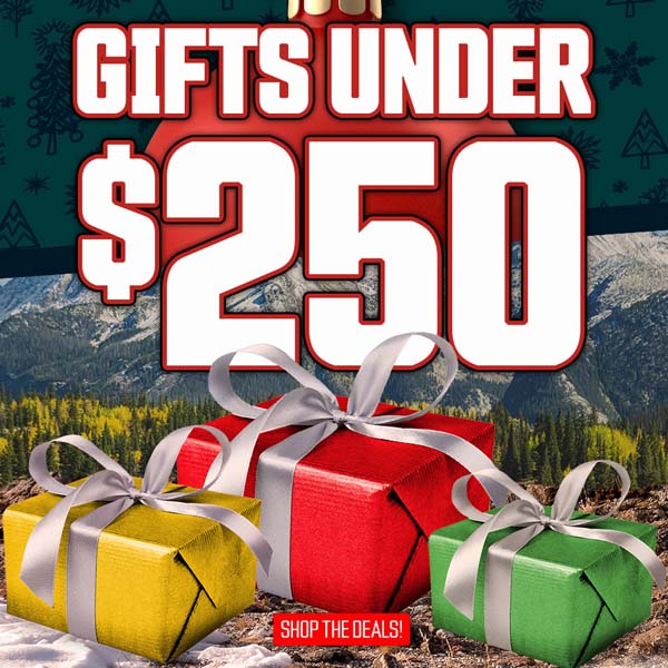 Gifts Under $250